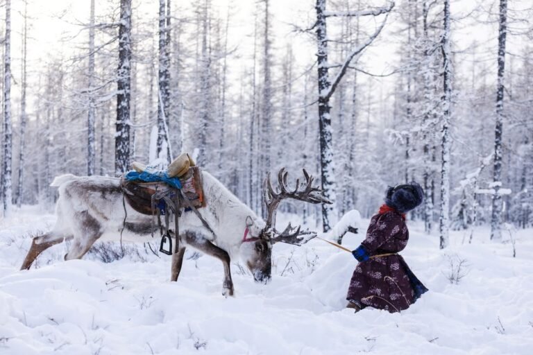 costume traditionnel laponie avec un renne